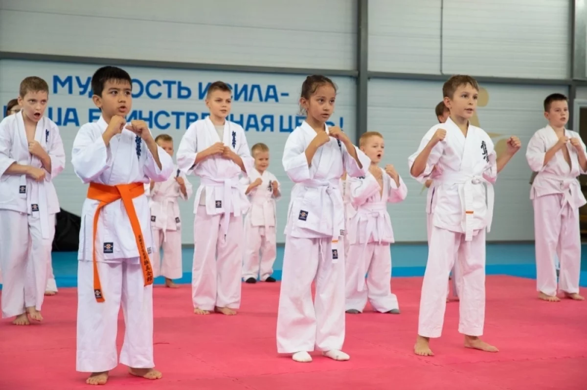Семь секций проекта «Киокусинкай в школу» планируют открыть во Владивостоке