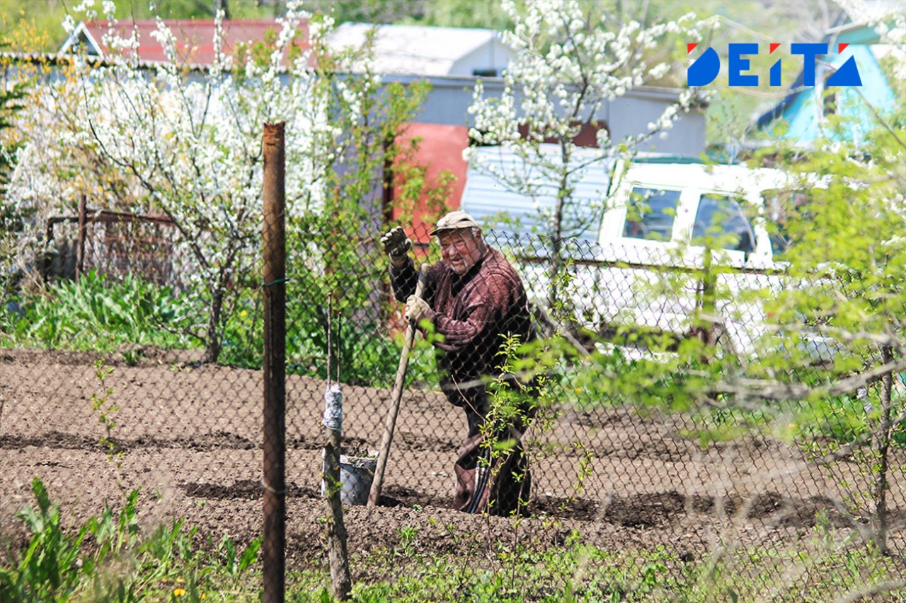 Дачники объединяют участки и выходят из СНТ: в чём причина
