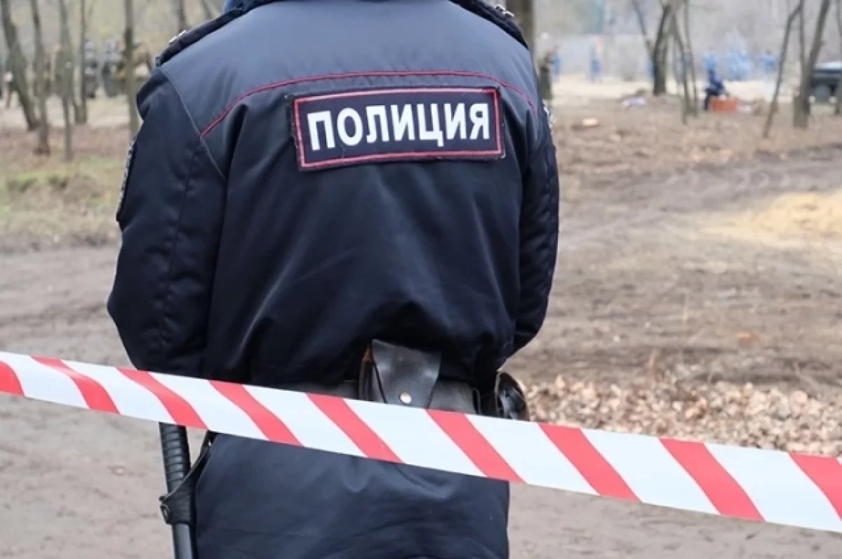 Шкуру тигра нашли на берегу реки в Приморье, возбуждено уголовное дело