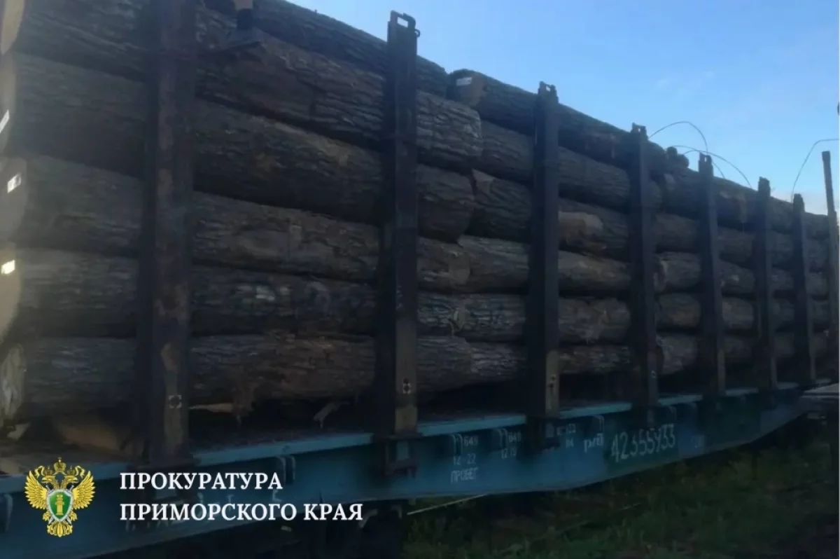 С группы контрабандистов леса из Приморья взыщут 121 миллион рублей