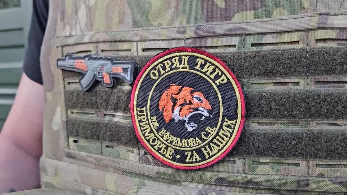 «Тигры» — охотники на украинские дроны
