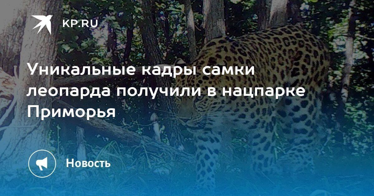 Уникальное событие в Приморье