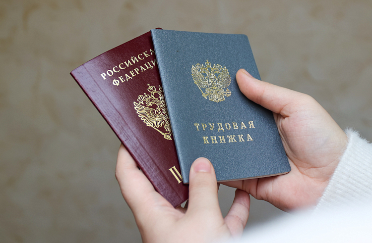Более 600 приморцев нашли работу благодаря поддержке Социального фонда России