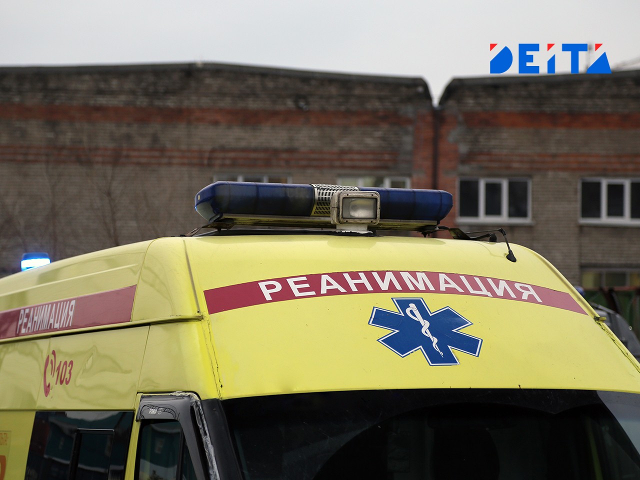 Уголовное дело возбуждено на Сахалине после крушения дельтаплана — DEITA.ru
