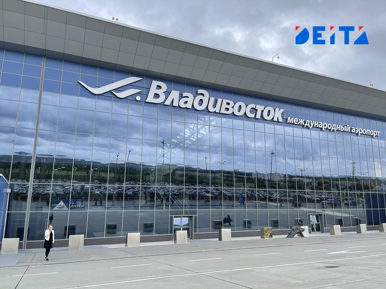 Птицы победили Airbus: ущерб заплатит аэропорт Владивостока — DEITA.ru