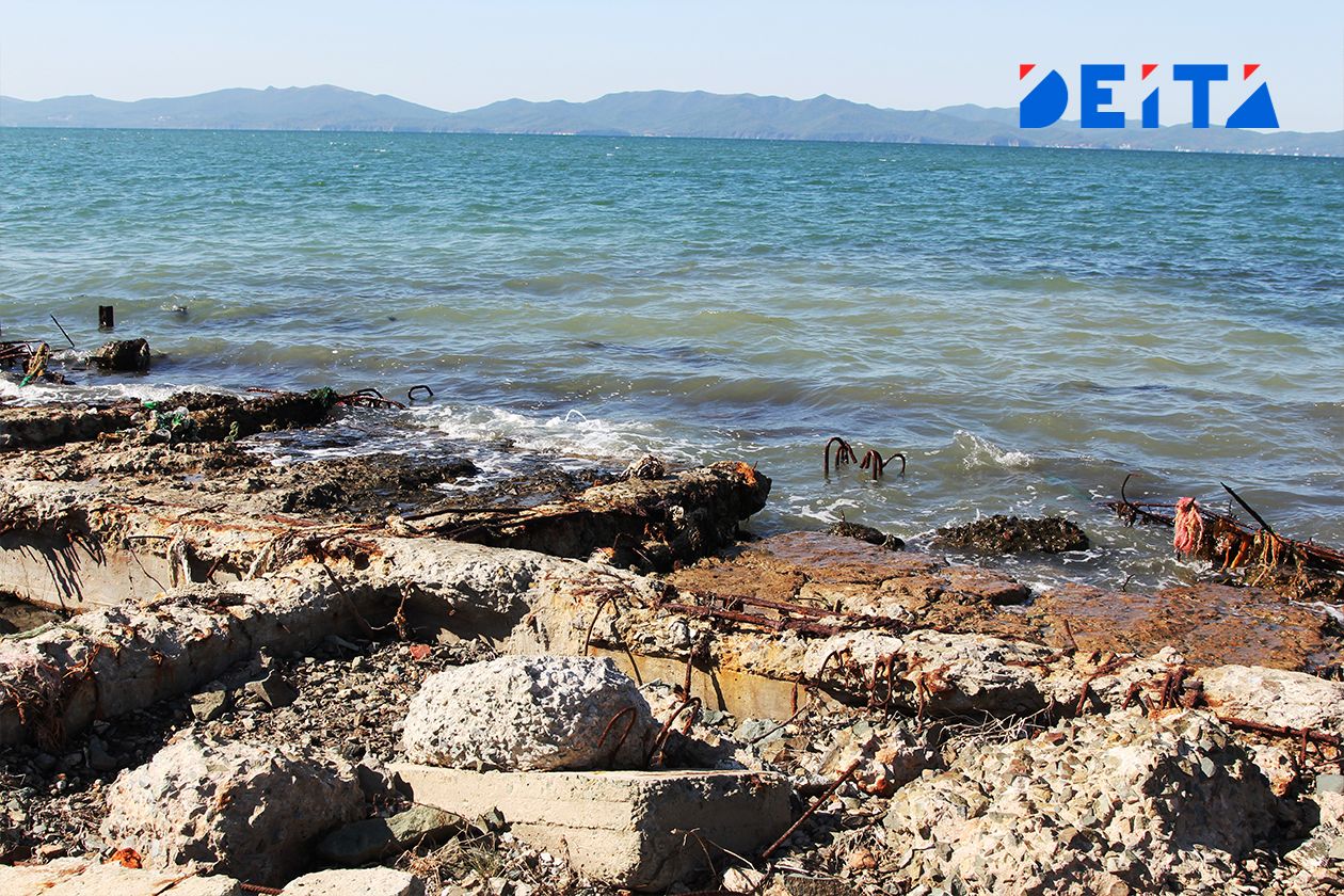 Стоками неизвестного происхождения загадили морскую акваторию в пригороде Владивостока — DEITA.ru
