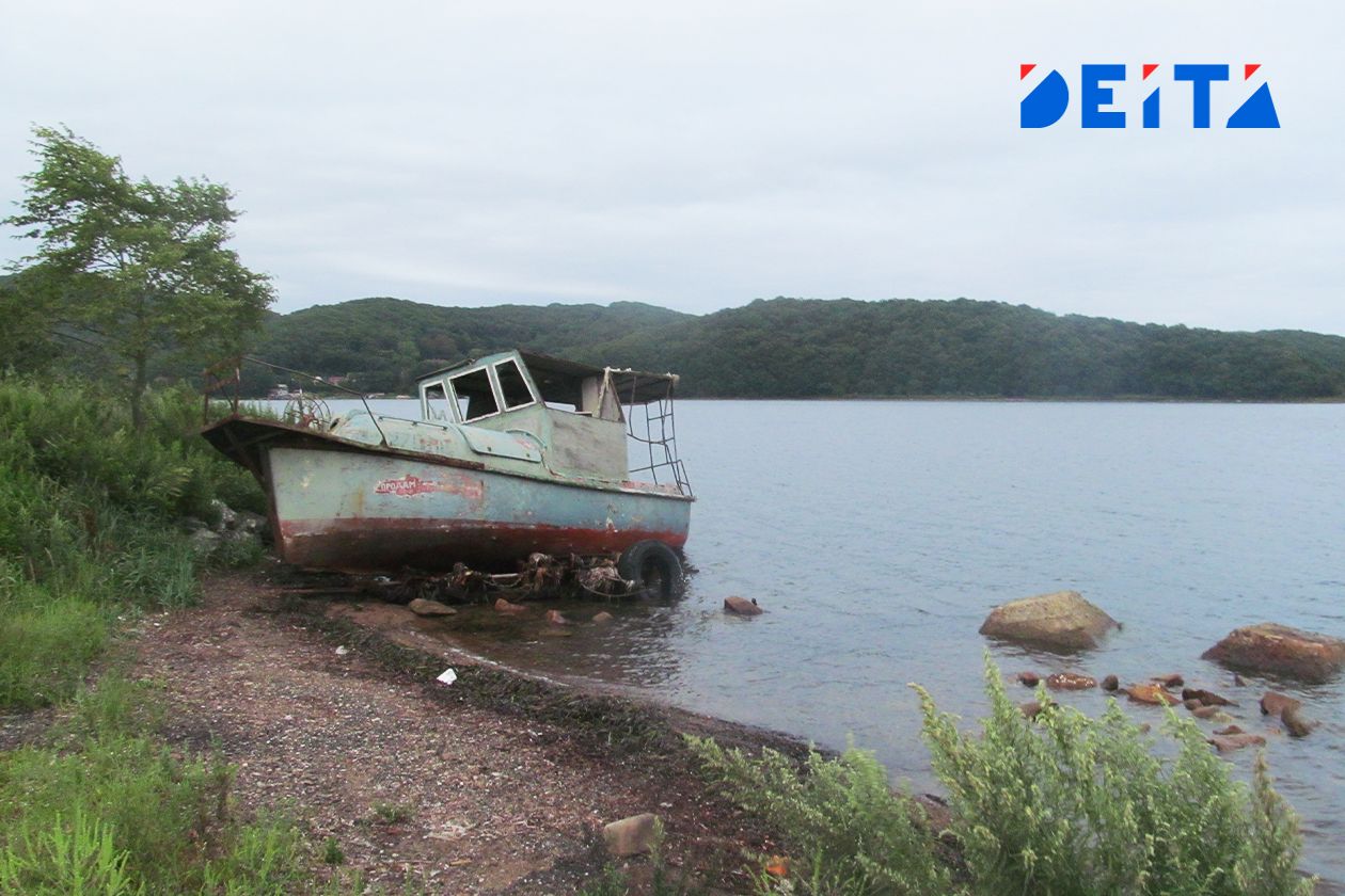 Загрязнение Уссурийского залива в пригороде Владивостока расследует прокуратура — DEITA.ru
