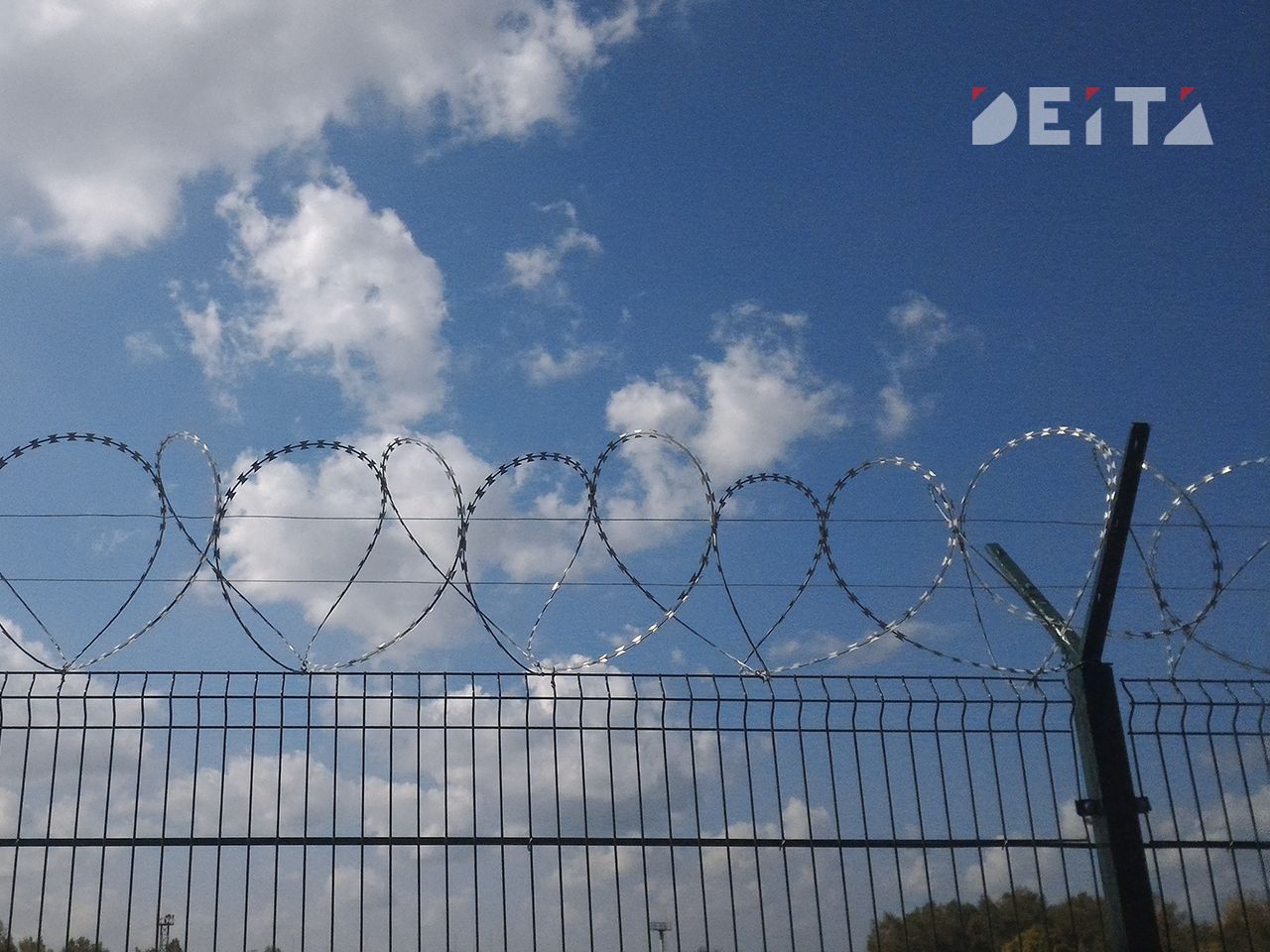 Зэков стало меньше в Приморье — DEITA.ru