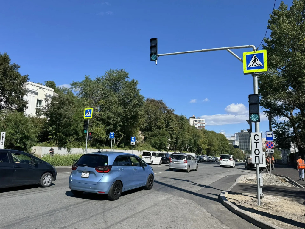 Новый светофор появился на пешеходном переходе на улице Ивановской во Владивостоке — МВД по Приморскому краю
