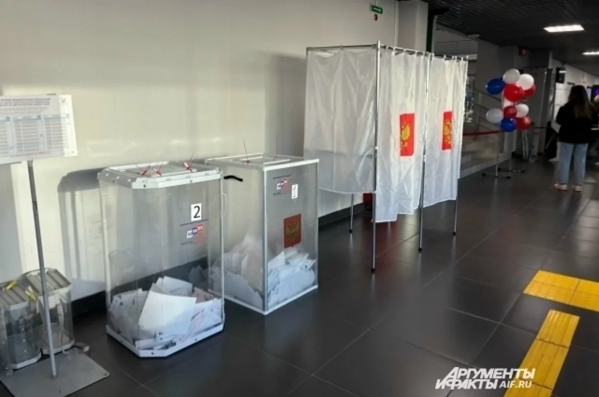 Избирком подвел промежуточные итоги явки приморцев на выборы — АиФ-Владивосток