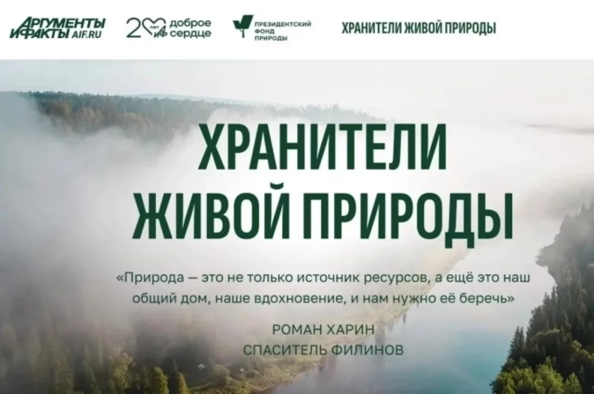 Кому мы должны быть благодарны за заботу о дикой природе — АиФ-Владивосток