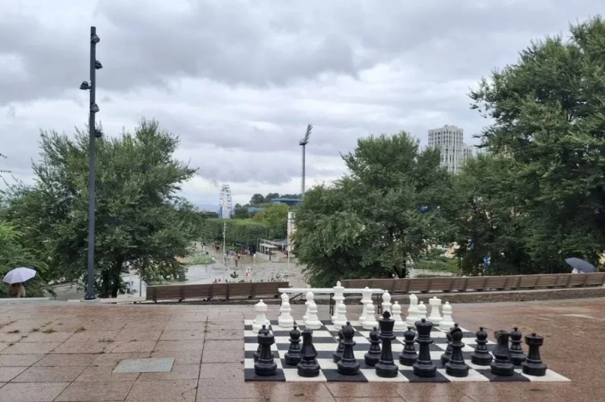 Короля и коня украли из шахматного павильона на набережной Владивостока