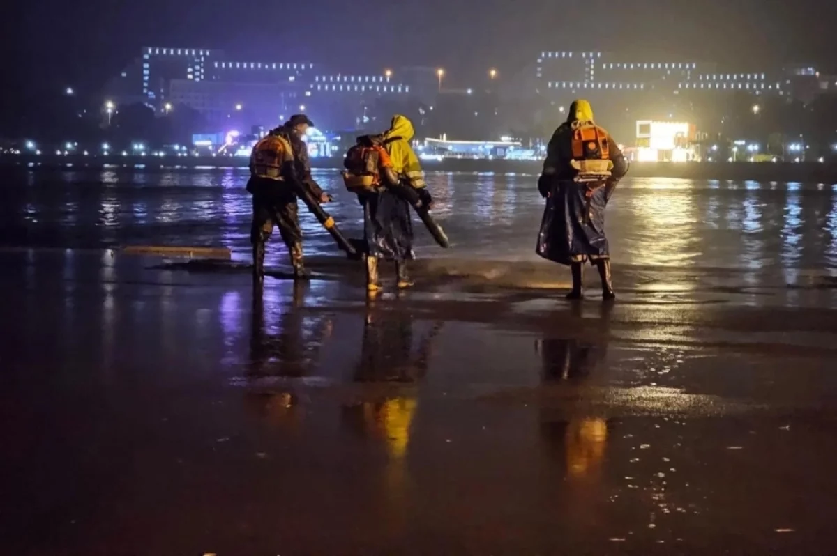 «Зелёный Владивосток» следит за чистотой на набережной ДВФУ в дни ВЭФ — АиФ-Владивосток