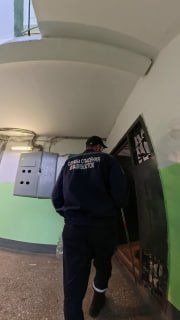 Из-под обоев в доме на Сабанеева достали змею, похожую на…