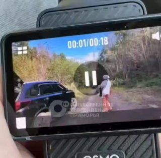 Шишки, мат и драка: сборщики напали на журналистку ОТВ в... — DPS VL | Владивосток
