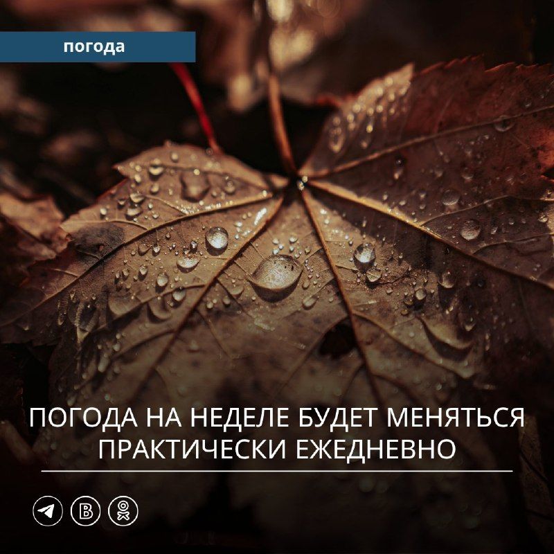 Сегодня под влиянием циклона, смещающегося над северной частью…