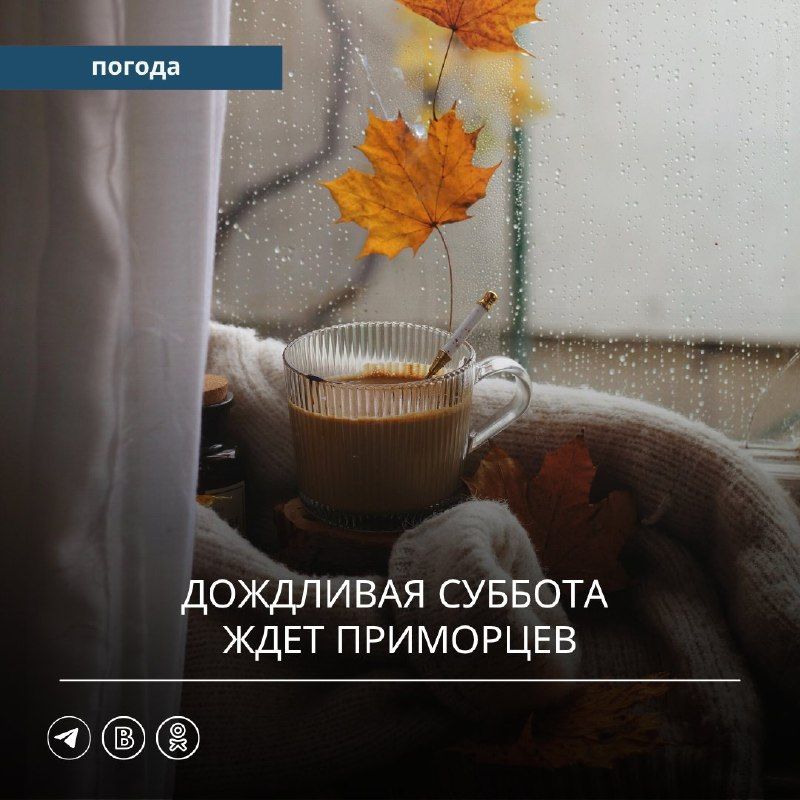 Вчера под влиянием гребня континентального антициклона дожди…