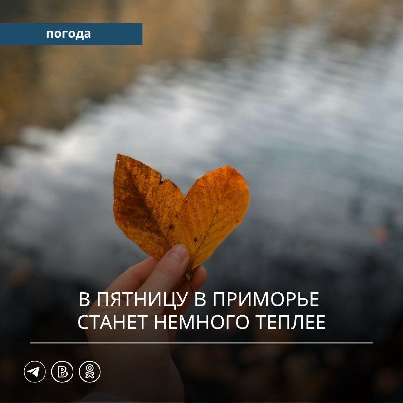 Вчера на большей территории Приморского края было тепло: воздух…