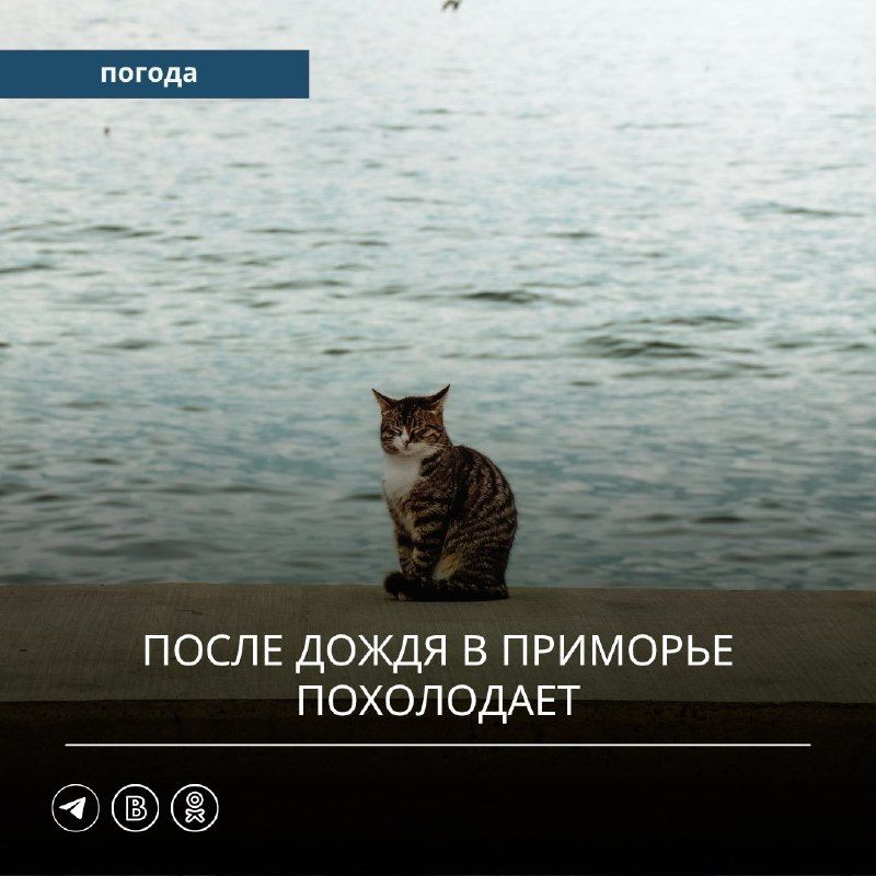 Вчера под влиянием антициклона в Приморском крае было солнечно….