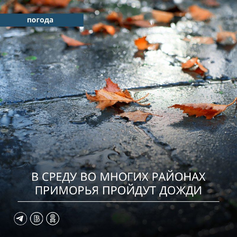 В минувшие сутки континентальный антициклон и тропосферная ложбина…