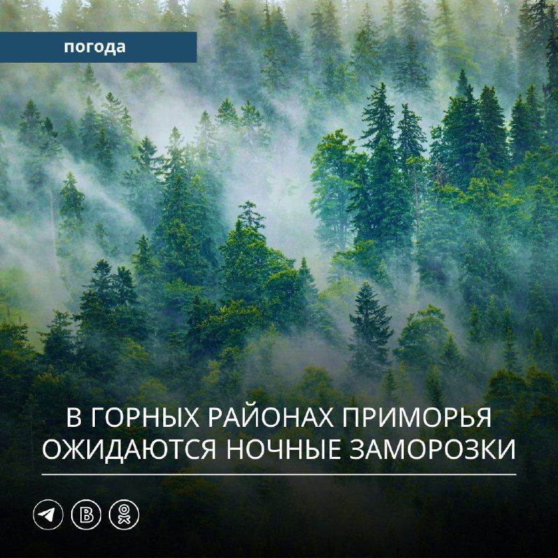 В прошедшую субботу и в ночь на воскресенье в Приморском крае под…