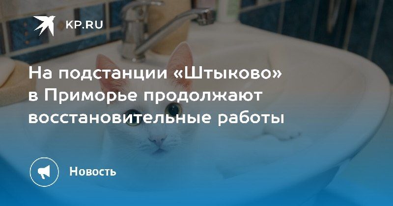 Восстановление на подстанции «Штыково» в Приморье в активной фазе... — КП - Владивосток