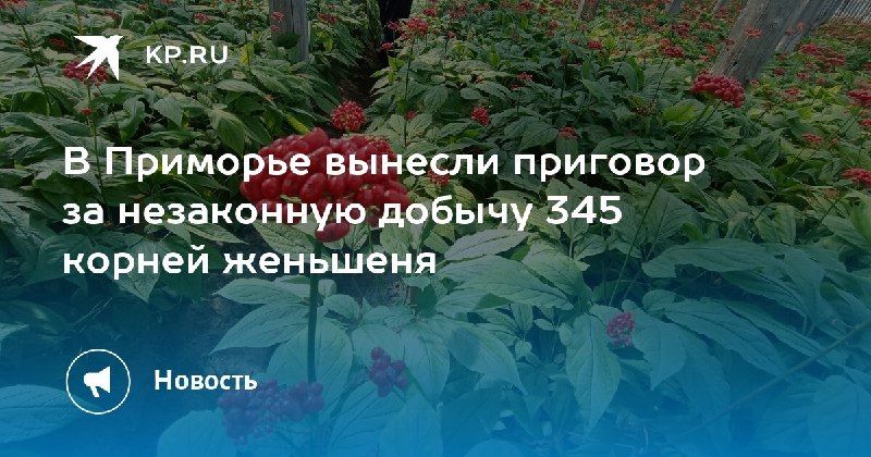 В Приморье суд вынес приговор за незаконную добычу 345 корней…
