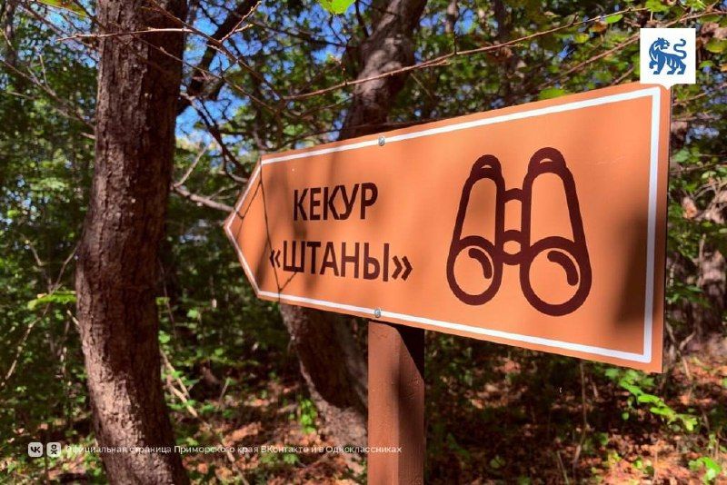 На острове Попова открыли обновлённую экотропуВ Морском заповеднике... — ВОСТОК-МЕДИА | Владивосток и ДФО