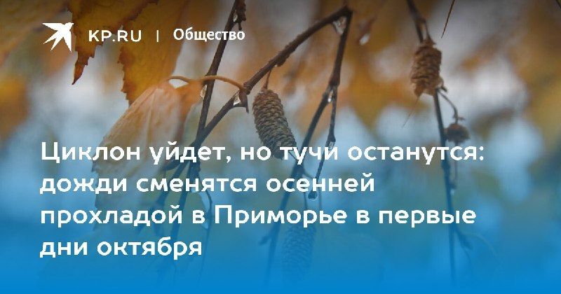 Самый теплый день недели в Владивостоке 29 сентября температура... — КП - Владивосток
