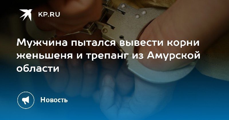 Контрабанда женьшеня и трепанга В Амурской области задержан мужчина,... — КП - Владивосток
