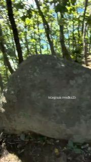 В Приморье показали покоящийся под водой катер «Майами», который…