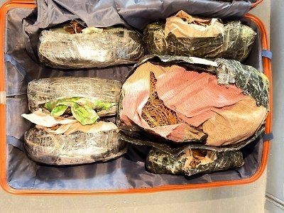 Сотрудники Дальневосточной оперативной таможни совместно с…
