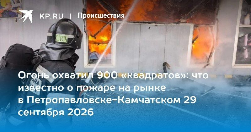 Пожар на рынке в Петропавловске-Камчатском: площадь возгорания достигла 900 м² — КП - Владивосток