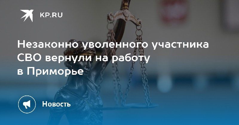 В Приморье работодатель незаконно уволил бойца СВО «по собственному желанию» — КП - Владивосток