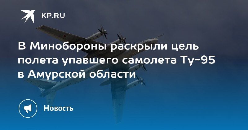 В Минобороны раскрыли цель полета упавшего самолета Ту-95 в Приамурье — КП - Владивосток