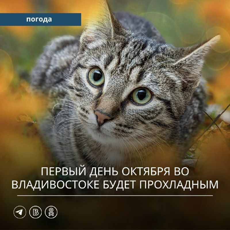 Вчера под влиянием поля повышенного атмосферного давления в Приморском крае