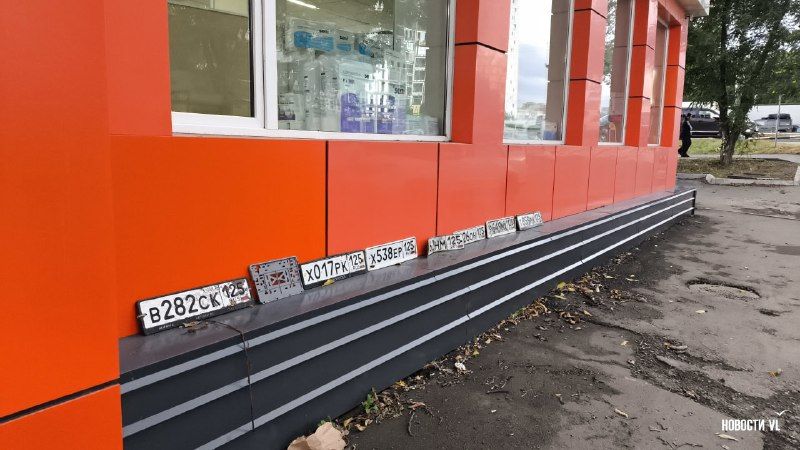 Без «потеряшек» сегодня не обошлось. — Новости VL.ru | Владивосток