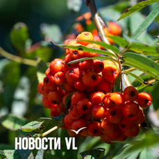 Сегодня во Владивостоке до +23 °С — VL.ru