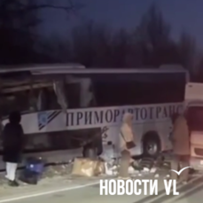 Китайского водителя грузовика приговорили к пяти годам колонии-поселения за смертельное ДТП в Приморье — VL.ru