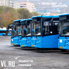 Сегодня вечером на Спиридонова изменятся маршруты автобусов — VL.ru