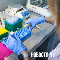 Учёные из Владивостока нашли в винограде вещество, которое могло бы остановить болезнь Паркинсона — VL.ru