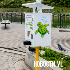На озере на Сафонова установили аппарат с кормом для красноухих черепах — VL.ru