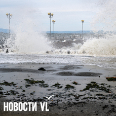 Начало следующей недели во Владивостоке будет ветреным — VL.ru