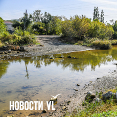 В пригороде Владивостока начали расчищать русло реки Седанки — VL.ru