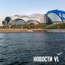 Десятки килограммов мусора подняли со дна бухты Житкова во время морского субботника — VL.ru