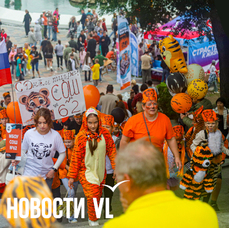 Утро марафона, День тигра, вечер искусства будущего: анонсы событий на выходные во Владивостоке — VL.ru