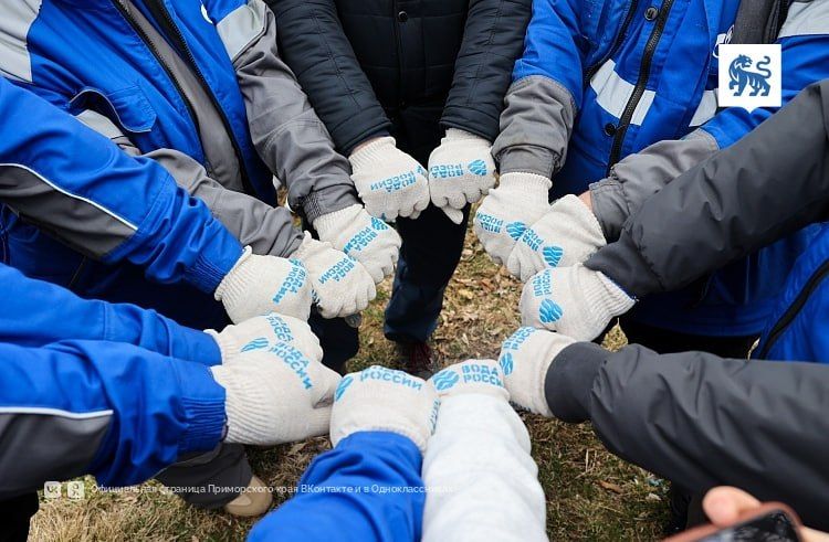 Примите участие в экологическом субботнике! — Правительство Приморского края