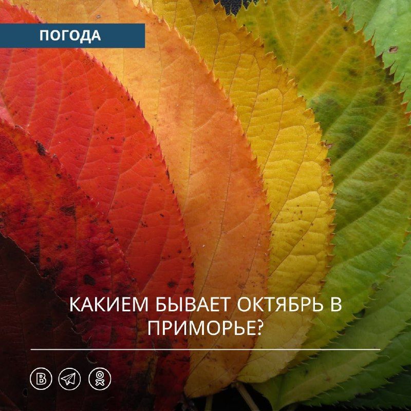 Октябрь в Приморье всегда разный.