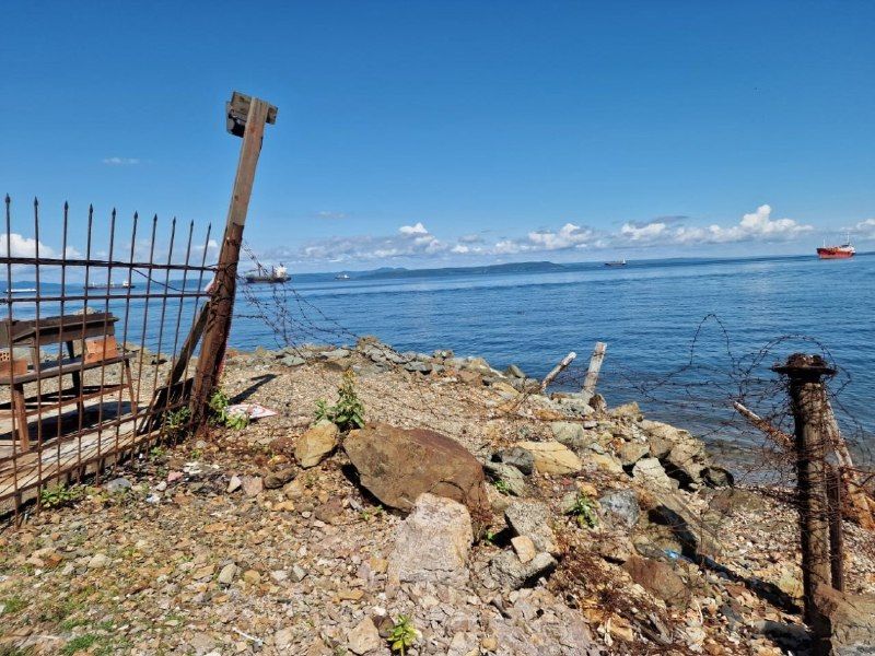 Алексеев присоединится к созданию "морской тропы" от пляжа МГУ до Токаревского маяка — PrimaMedia.Приморье