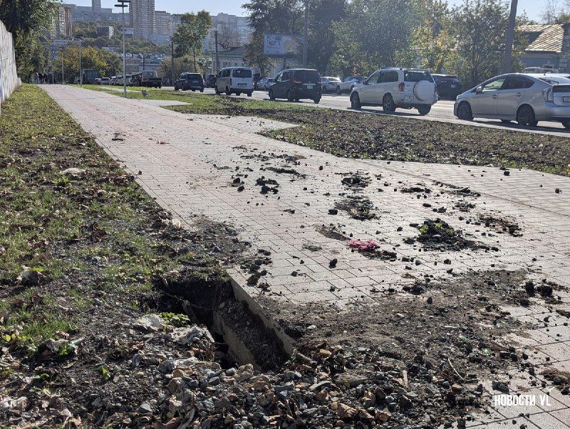 Дождь смыл грунт с косогора на новую аллею на Ивановской — Новости VL.ru | Владивосток